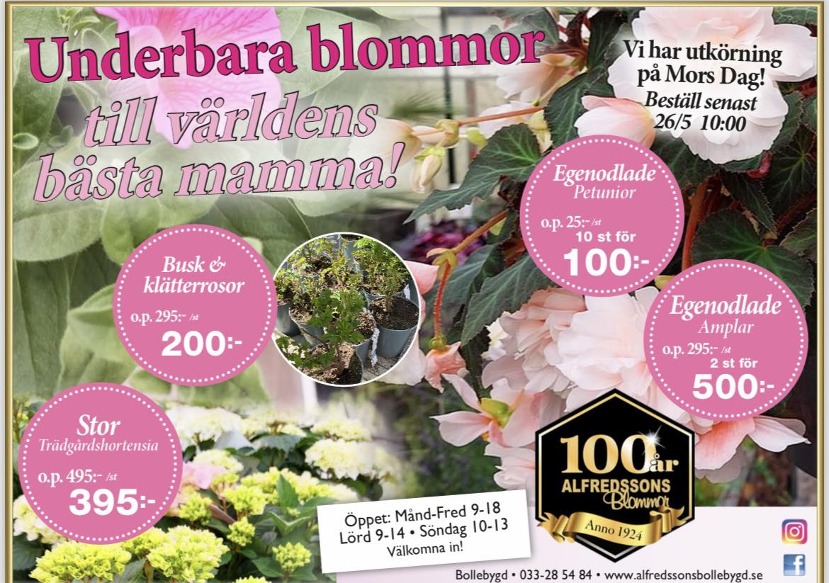 438098289_982463113884823_2442859334693532861_n